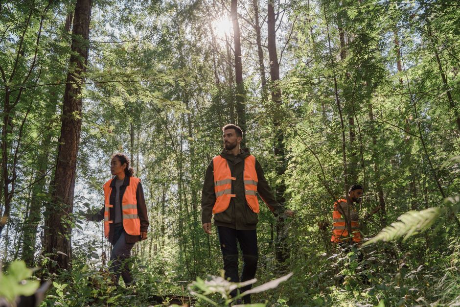 Landseed: nowa spółka tworzy rynek finansowy dla projektów ochrony przyrody
