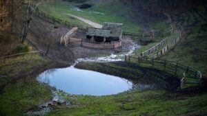 VII Krajowe Dni Pola w Szepietowie: trzy dni nowoczesnego rolnictwa i hodowli