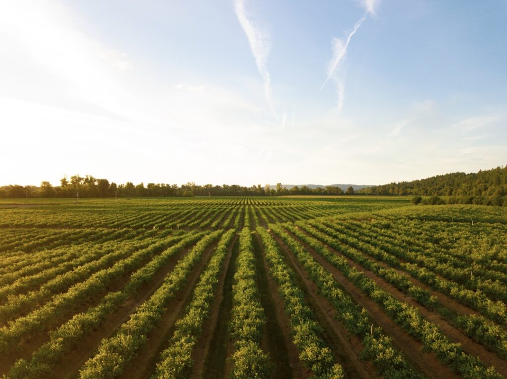 Granty do 50 tys. euro dla firm rolno-spożywczych – nabór w AGRI-BIOCIRCULAR-HUB