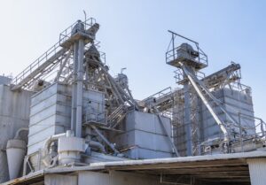 Innovafeed pozyskuje 59 mln dolarów i przechodzi w fazę industrializacji produkcji owadów