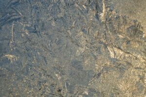 CryoVera walczy z 'cichym zabójcą w zamrażarce' dzięki technologii przeciwzamrożeniowej inspirowanej organizmami ekstremofilnymi