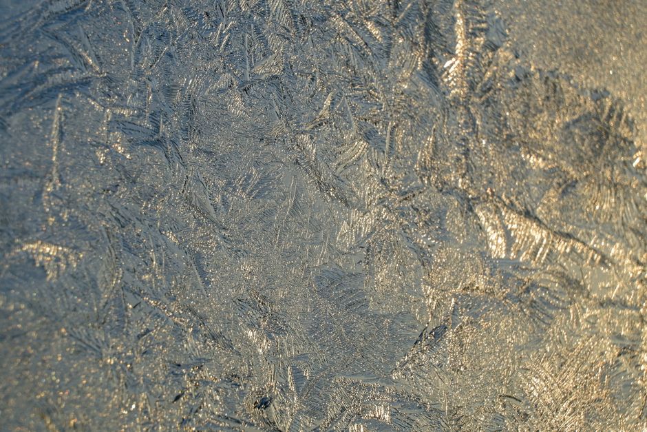 CryoVera walczy z 'cichym zabójcą w zamrażarce' dzięki technologii przeciwzamrożeniowej inspirowanej organizmami ekstremofilnymi
