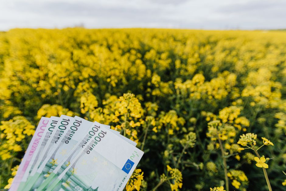 Bruksela proponuje wyższe i wcześniejsze zaliczki dopłat bezpośrednich dla rolników