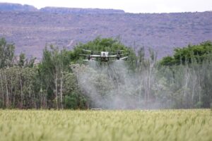 Nowe drony rolnicze DJI: Agras T55 i T100 Dual Battery – większy udźwig i inteligentne systemy