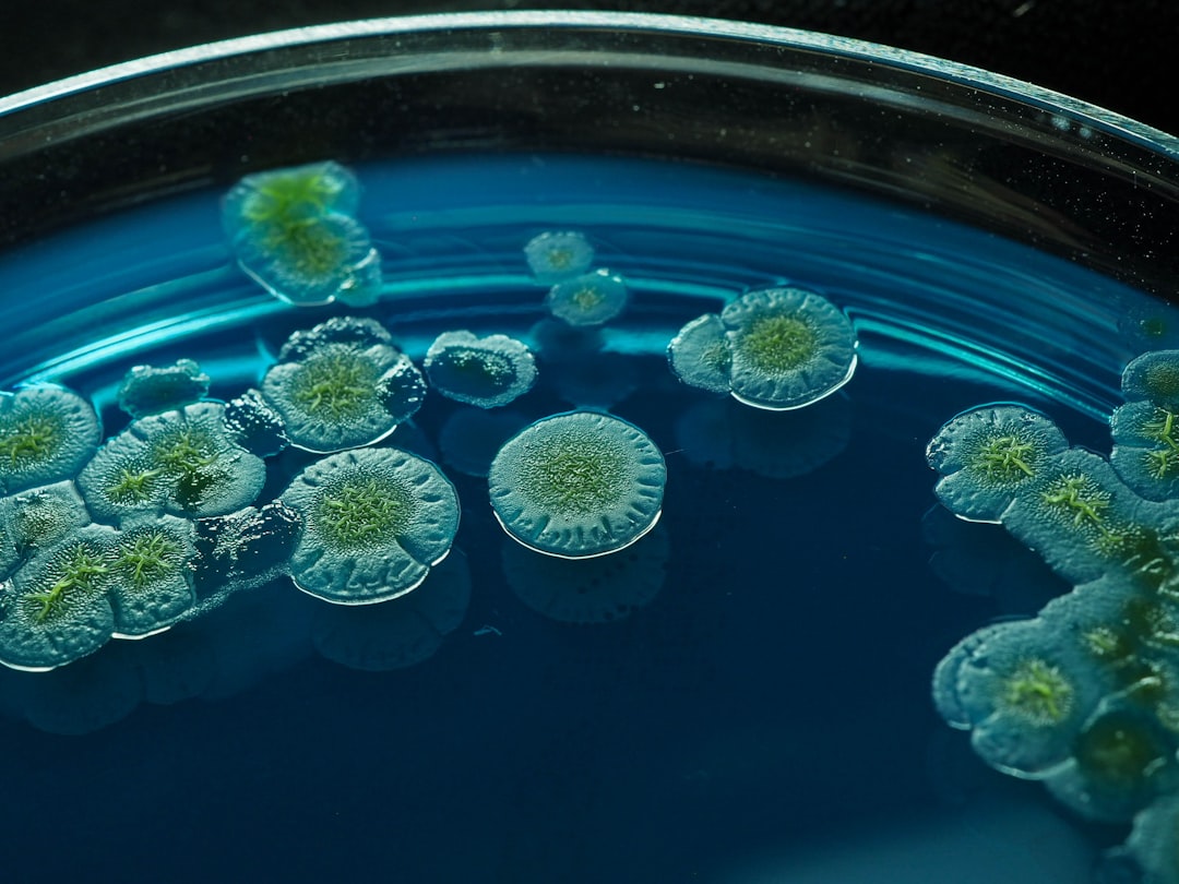 GIS ostrzega: Salmonella w suplemencie Verdin Fix – wycofano dwie partie