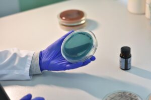 ZBiotics sprzedał 15 milionów „przedalkoholowych” shotów – genetycznie modyfikowane probiotyki podbijają rynek