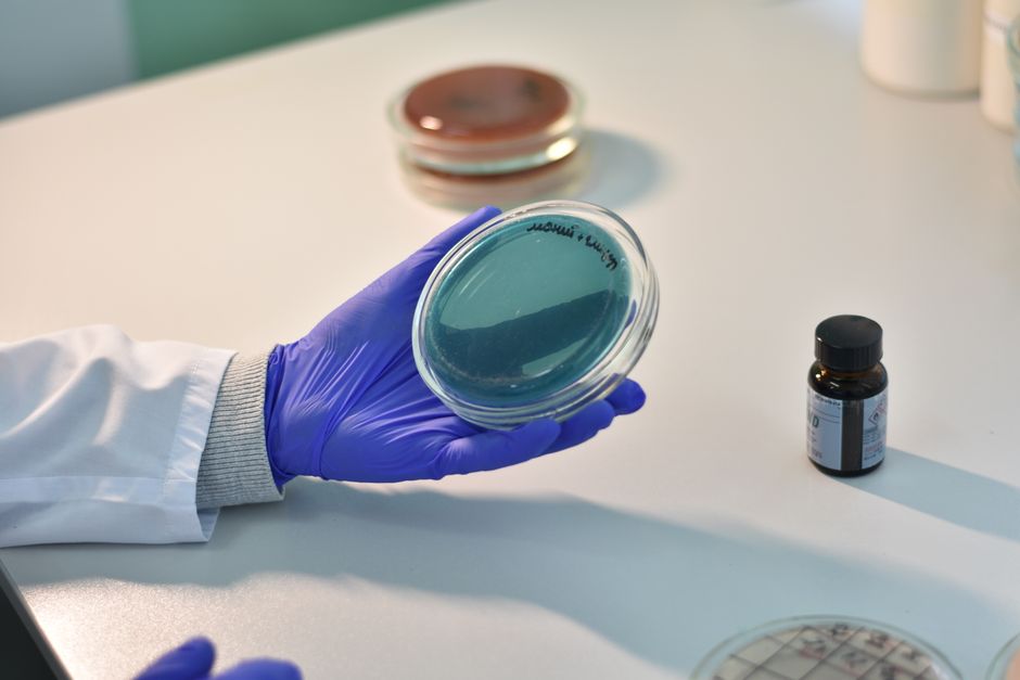 ZBiotics sprzedał 15 milionów „przedalkoholowych” shotów – genetycznie modyfikowane probiotyki podbijają rynek