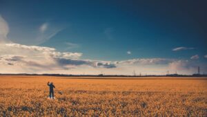 Jak ratować plon rzepaku po trudnej zimie i suszy? Eksperci radzą na polach w Śremie