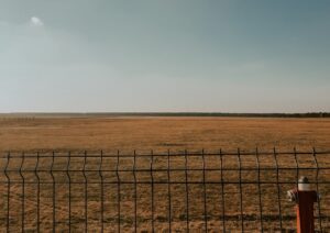 Susza rolnicza 2026: zagrożone zboża, owoce i warzywa – jak rolnicy mogą walczyć z niedoborem wody?