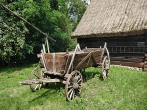 Ponad 130 mln zł na kontach kół gospodyń wiejskich – trwa nabór wniosków