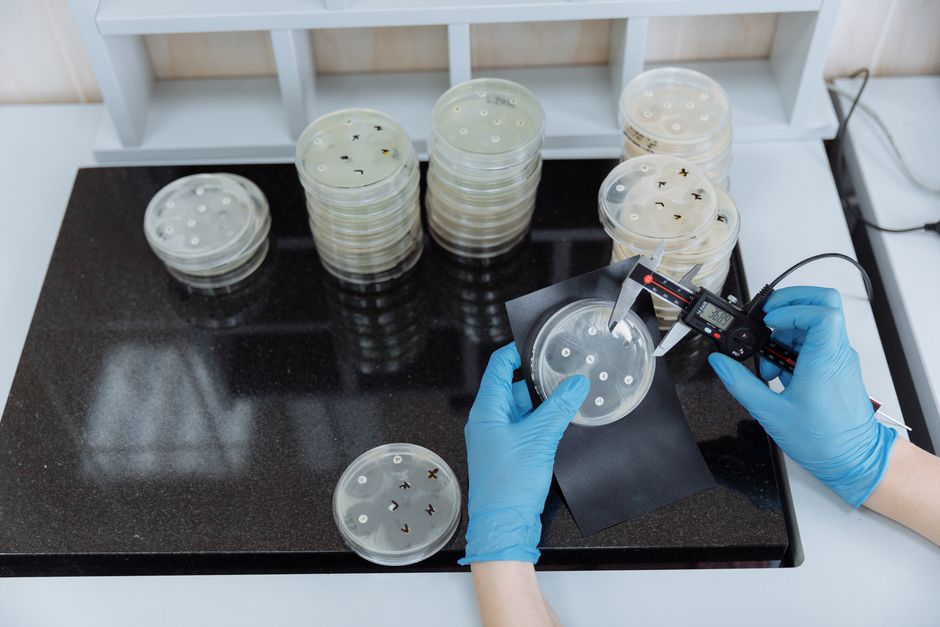 Upstream Biotechnology zabezpiecza finansowanie seed na technologię ochrony upraw 'na żądanie'