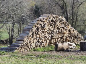 Polacy szturmują składy opału. Ceny drewna sięgają 800 zł za metr sześcienny