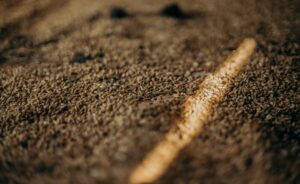 Podsumowanie naboru na dopłaty do materiału siewnego 2026