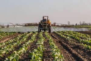 QEMETICA wchodzi na rynek australijski: strategiczna ekspansja polskiej grupy agro