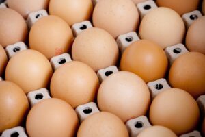 Salmonella w belgijskich jajach: GIS wyjaśnia polski wątek afery