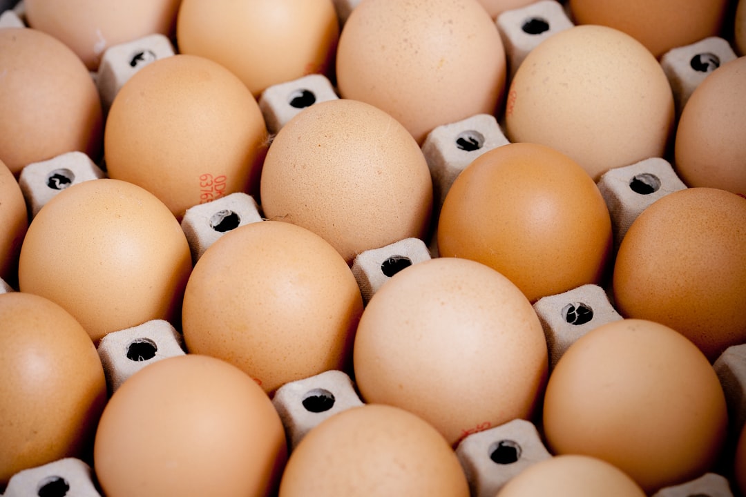 Salmonella w belgijskich jajach: GIS wyjaśnia polski wątek afery