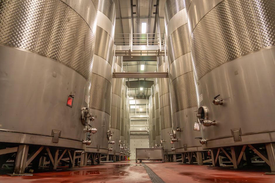 Planted zwiększa produkcję fermentowanych steków i myśli o współpracy B2B