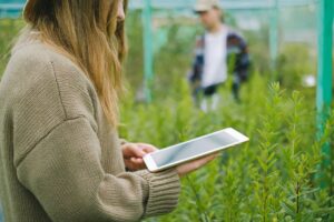 AgriFood Signals: Ranchbot pozyskuje 15 mln USD, Target zatrudnia szefa AI, megatransakcja w hodowli komórek roślinnych