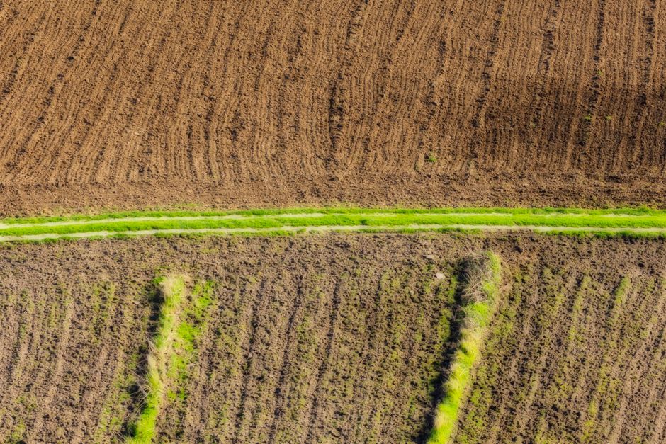 Nowe ceny ziemi V i VI klasy od 15 września 2026 – sprawdź stawki w swoim województwie