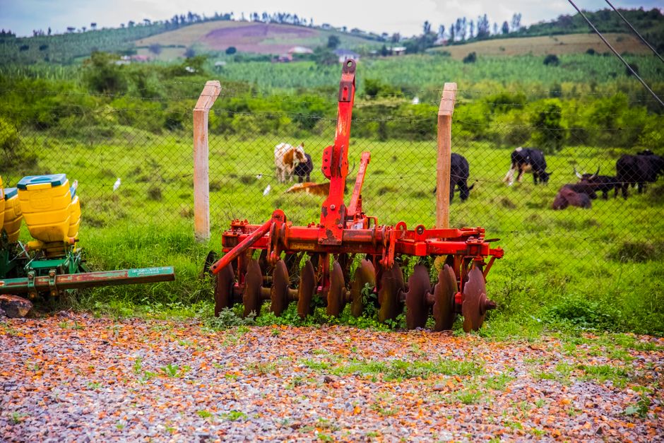Ukraińskie gospodarstwo rolne na sprzedaż: 2000 ha, 700 krów i park maszynowy za 33,6 mln zł