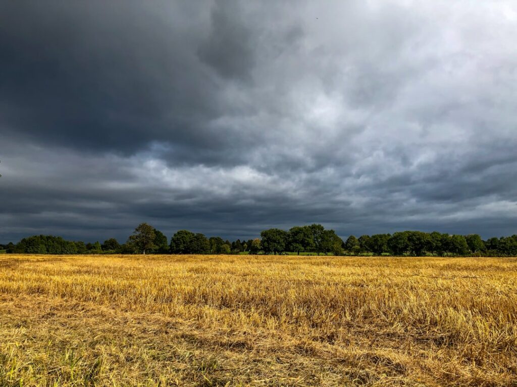 Zmienna pogoda na start września: od chłodnych ulew po prawie 30°C