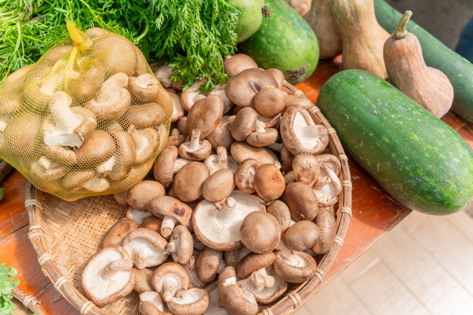 Z pieczarek na shiitake. Rodzinne gospodarstwo z Adamowa produkuje 5 ton egzotycznych grzybów miesięcznie