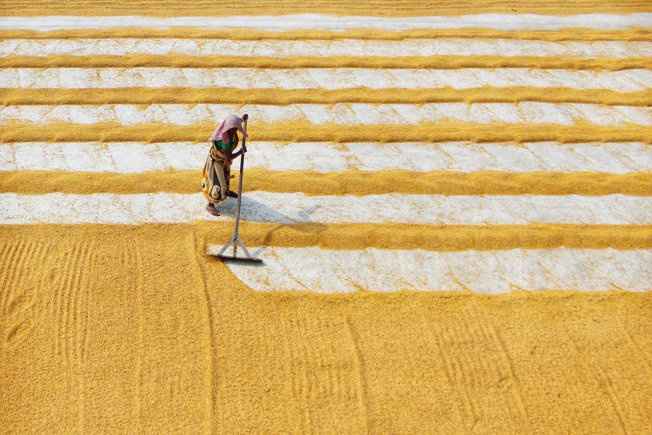 ARiMR wypłaca zaliczki na dopłaty – sprawdź numer konta