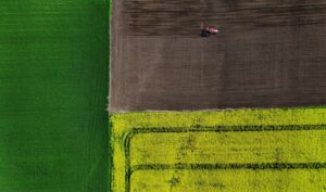 ARiMR: średnie gospodarstwo w Polsce ma już 11,97 ha. Znamy dane dla wszystkich województw