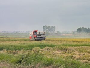 Japońskie ryżowiska jak stół. Laser i GPS w służbie precyzji