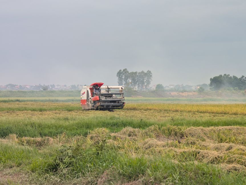 Japońskie ryżowiska jak stół. Laser i GPS w służbie precyzji