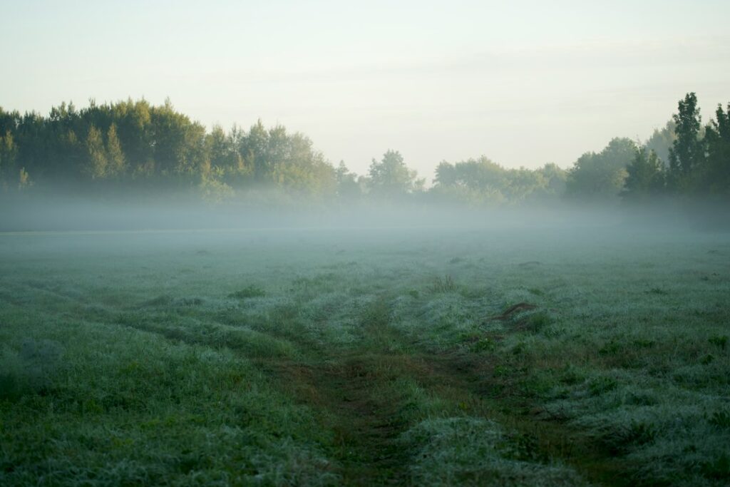 Wyżowa aura do 4 października. Nawet 24°C, ale mgły utrudnią poranki