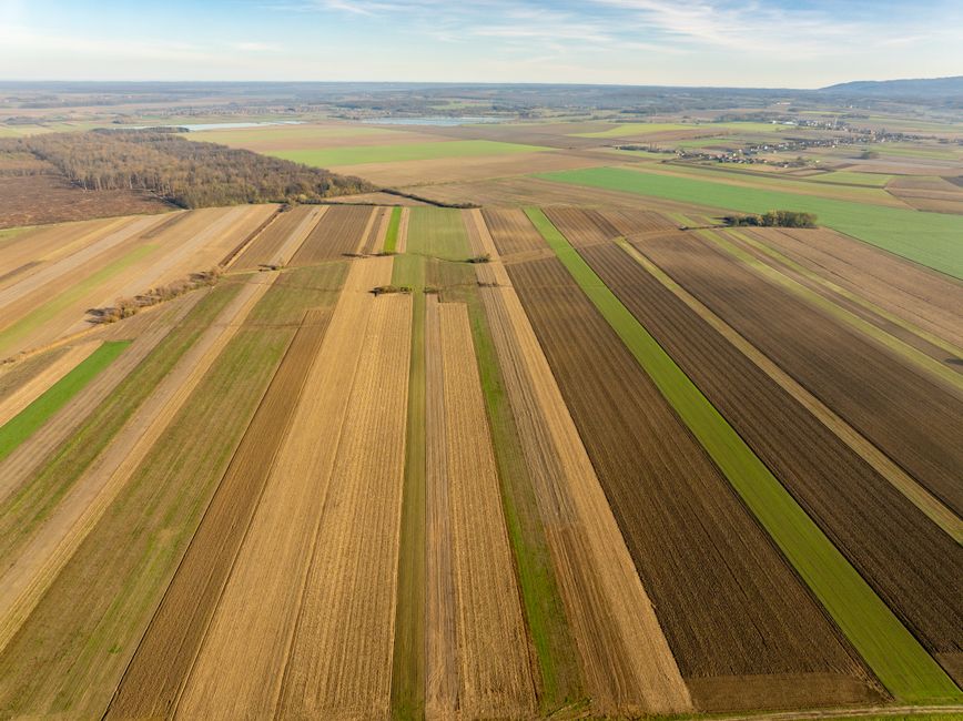ARiMR kontroluje 64,5 tys. gospodarstw. Ponad 60 tys. inspekcji metodą FOTO