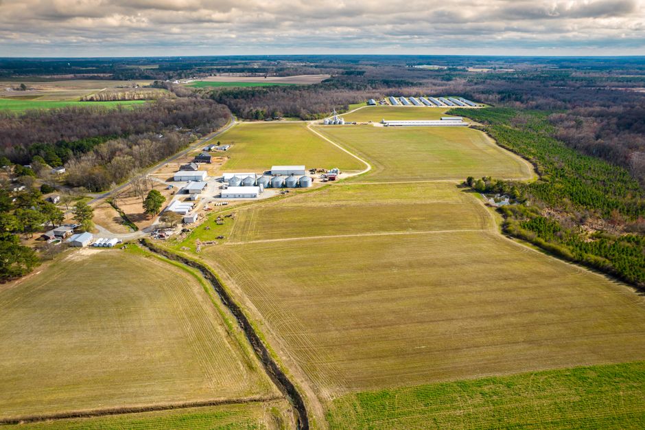 Plan ogólny gminy Nowe Miasto nad Wartą blokuje rozwój 100-hektarowego gospodarstwa
