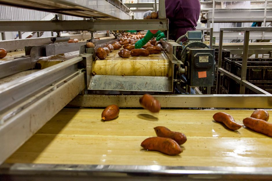 Nabór ARiMR na przetwórstwo produktów rolnych trwa do 30 września