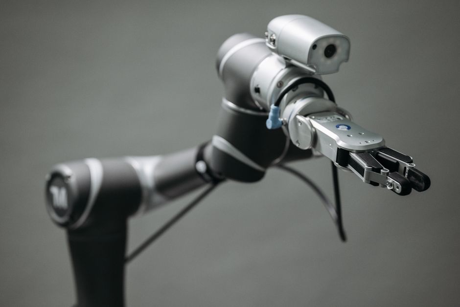 Bonsai Robotics: Rewolucja w rolnictwie dzięki AI i wizji 3D z 2D kamer