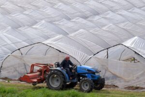AgFunder zmienia strategię inwestycyjną: zamiast sektorów stawia na wąskie gardła w agrifoodtech