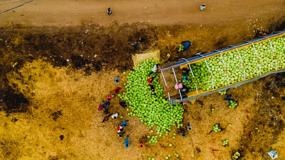 Upadek Twigi: lekcja dla afrykańskiego agrifoodtech i nowe modele finansowania