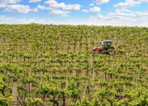 Deutz-Fahr rozszerza serię 5 DF Keyline o czterocylindrowe ciągniki sadownicze