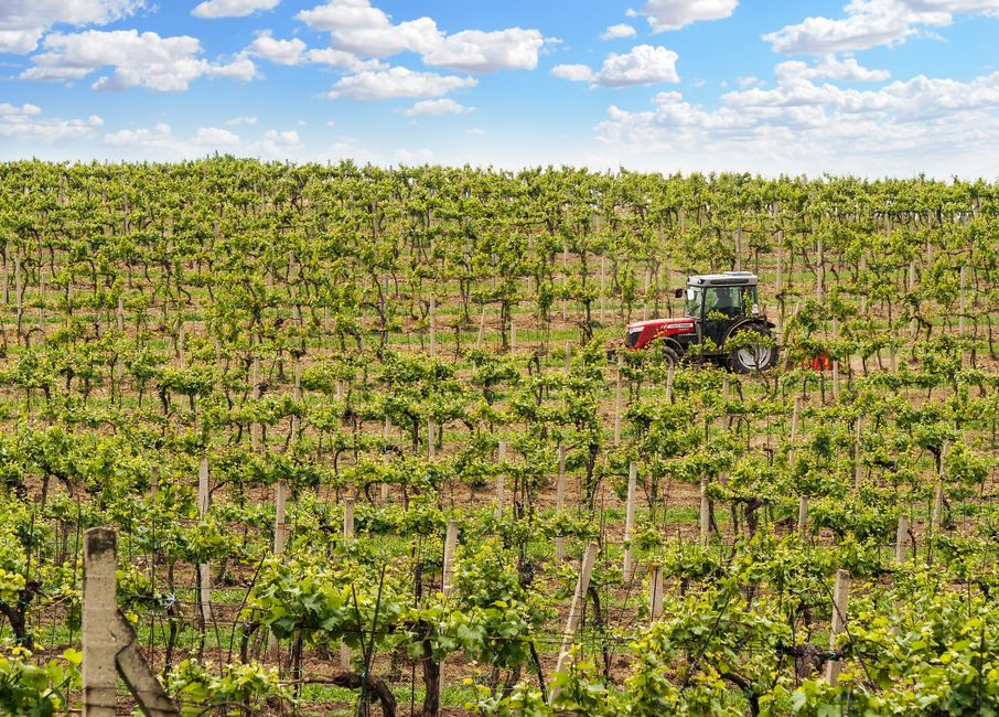 Deutz-Fahr rozszerza serię 5 DF Keyline o czterocylindrowe ciągniki sadownicze