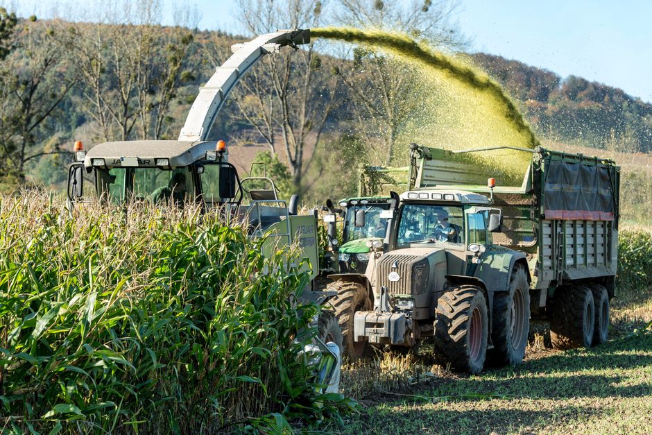 13-letni rolnik z Teksasu na podium krajowego konkursu plonów kukurydzy