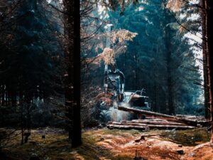 Logset prezentuje Harvester 4.0 – nowa kabina i głowice dla leśnictwa