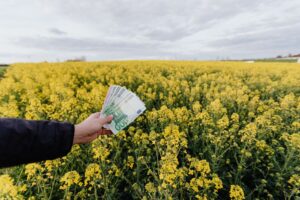 Kurs euro do dopłat 2026 wyższy niż zakładano – rolnicy mogą liczyć na wyższe stawki