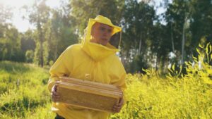 Nabór wniosków o wsparcie dla pszczelarzy rusza 23 października