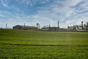 Folwark Wąsowo: od PGR do ekologicznego imperium z browarem i hotelem
