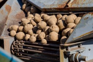 Cyberbezpieczeństwo w agrifood – czas na działanie