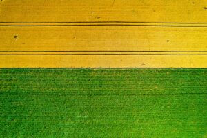 Ceny ziemi rolnej w Polsce: spadek średniej krajowej, ale regionalne różnice sięgają 50 tys. zł za hektar